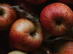 벌레 먹은 심장