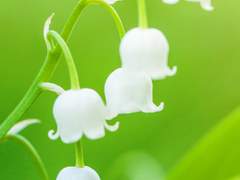 짧게 끄적인 작가 위무선