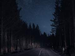 고양이와의 저녁