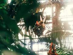 멜키레이 | All’s well that ends well