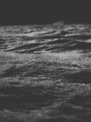 어거스트 디 VS 키티갱 外