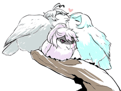 에브아메(+마마) 백업(7)