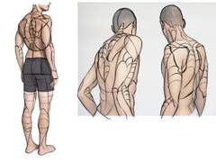 2022년 6월 4일 (토) <해부학>