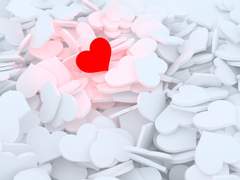 [청당] 춘분(春分)-2