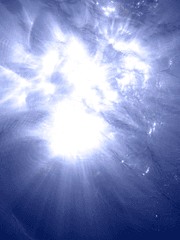 예브게니야 드미트리예브나 아르셰노프