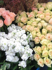 합작 백업 모음 zip