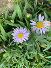 킨택 트위터 썰 백업 zip