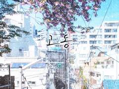 [마다코하] 고동