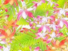 타마린드 브러쉬