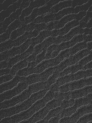 [명탐정 코난] 죽어 마땅한 사람들