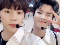 2018 큐선 위더보 모음