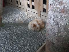 내가 냉면집에 온 이유가 바뀌었다