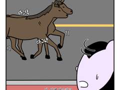 하루땃따 1화 <편의점과 동물친구들>