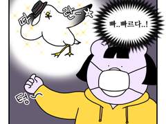 하루땃따 14화 <갈매기와 새우과자>