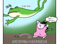 하루땃따 28화 <개굴 개굴 개구리>