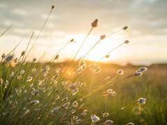 그대가 내게 알려준 계절