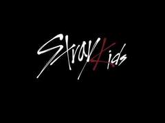 스트레이키즈 입덕 후기