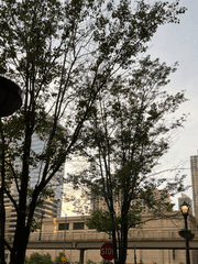 사랑이 너무 어려워서