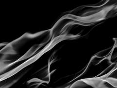 고삐 풀린 늑대.