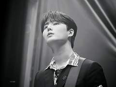 도화(桃花) : Peach Blossom