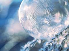 [ 関川 雪穂 / 비공개란 ]