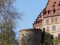 서브 인생에게 꽂혀버렸다 0