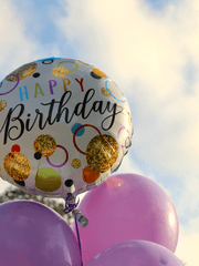 해파리다!!! 헌정 시나리오들