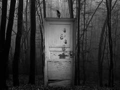 [하이큐 드림] 하이큐로 공포스러운 상황에서 함께 도망칠 드림캐 고르기 2