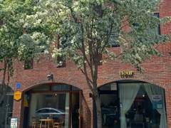 벽돌과 이팝나무, 2호