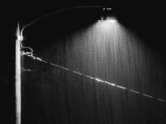 [베르키드/키드베르] 暴雨 (edit ver.)