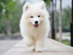 [강다니엘] Forever 01