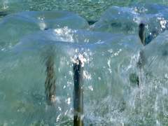 뽀삐 핸드메이드 인형 커미션