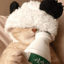 조금만더 김숙희