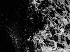 우리는 남았지만 너희는 멸종했었어