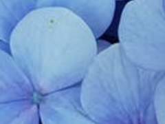 비상하는 초여름