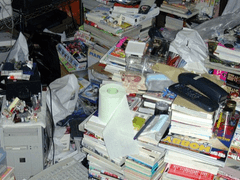 [영화후기] 넷플릭스 <강구바이 카티아와디: 마피아 퀸>