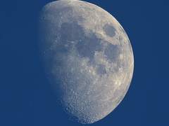 Selene Praemitis Noctiluca