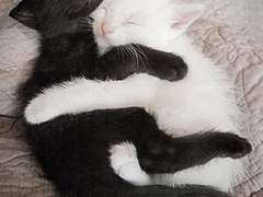 사랑을 말하기 이보다 완벽한 밤은 - 外