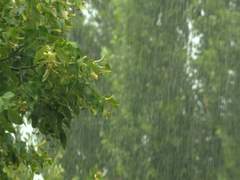 여름의 초입에는 네가 서 있었다