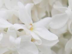 밝은 내일을 맞이하기를.