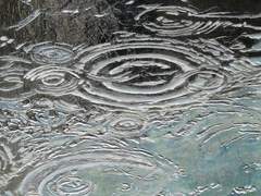 [신킨] 강형구의 강은 강아지의 강