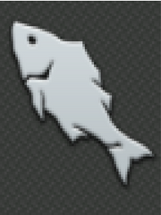 터주 낚시 그거 어케 하는건데 