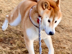 뱉을고야. talk 3