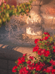 김쌤이랑 무슨 사이에요?