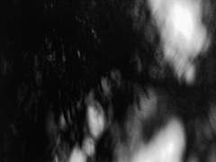 우울은 나를 재떨이로 써