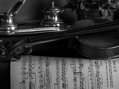 누군가에게 애정이란,