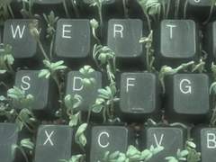 毎日のような日々にすべてを捧げる人のために