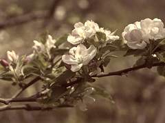 네 삶을 정케 하려 흘린 나의 눈물