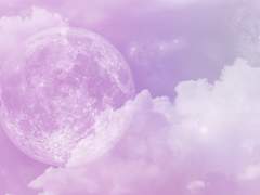 아이 타로 커미션