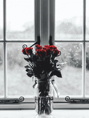 사랑해서 미안합니다